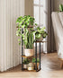 4 GENTINGBRO Tall Plant Stand Indoor Tiered Plant Shelf for Multiple Plants Coner Shelf Stand Wood Plant Stand Metal