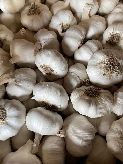 Bulbs, (5) Garlic Seed Large Cloves, Cold Hardy, Bold Flavor