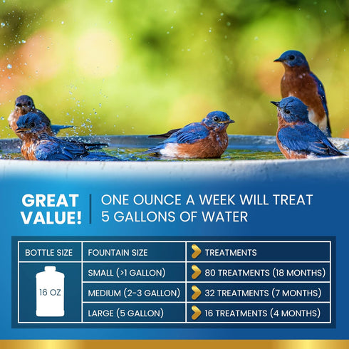 (16oz) ADIOS! Bird Bath Cleaner for Outdoor Fountains and Bowls, Safely Cleans Metal, Glass and Stone