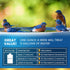 (8oz) ADIOS! Bird Bath Cleaner for Outdoor Fountains and Bowls, Safely Cleans Metal, Glass and Stone