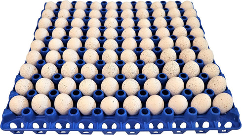 Rite Farm Products 12 90 Egg Plastic Trays Quail Pigeon Dove Bird Flat Carton