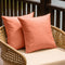 NiNi ALL Outdoor Waterproof Throw Pillow Covers Set of 2, Decorative Farmhouse Garden Pillowcase 22x22 inch Orange