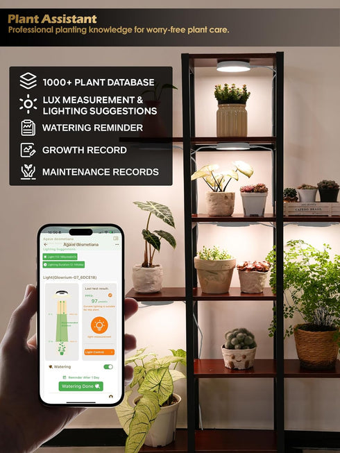 16W Dimming,Plant 2 GLOWRIUM Grow Lights for Indoor Plants, Smart Full Spectrum LED Grow Light, Auto Timer and Stepless