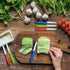 Paring Knife Set of 6 PCS, 3.5 Inch Stainless Steel Fruit & Vegetable Knives, Comfortable Multi-Color Handles