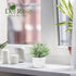 Der Rose 2 Pack Small Fake Plants, Artificial Eucalyptus Greenery in Pots for Bedroom Living Room Decor