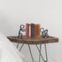 Natrlart Bookends Decorative Metal Unique Office Desk Bookends Cute Book Ends Reading Decor Bookshelf Decor for Office