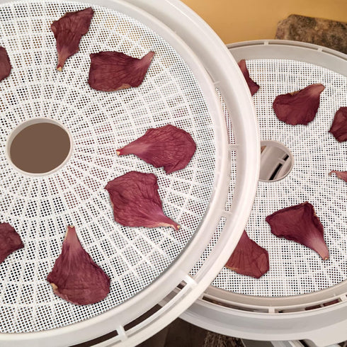 (8 Pack) Round Silicone Dehydrator Sheets, Dostk Premium Non Stick Mesh for Fruit Dehydrator, Reusable 13" Diameter