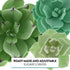 Set 3 Global Sugar Art Succulents Sugar Cake Flowers, of by Chef Alan Tetreault