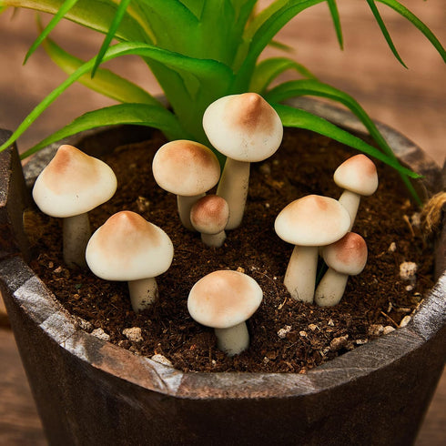 10 Taiyin Pcs Luminous Mushroom Miniature Garden Mushrooms Outdoor Decor Waterproof Glow in The Dark Yard Decor