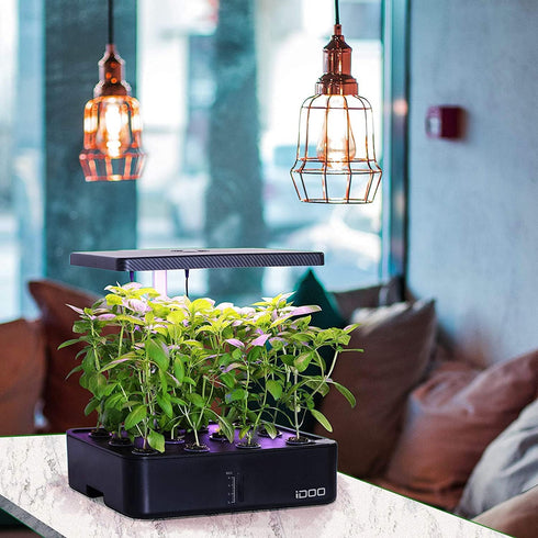 60 ID-IG201) iDOO Growth Sponges Pcs, Replacement Hydroponics Sponges Compatible with AeroGarden LYKO and All Indoor