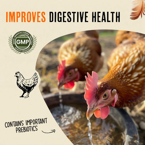 Immunity Omega-3 Roosty's Naturals Chicken & Digestion Booster | Chicken Digestion Supplements | Vitamins
