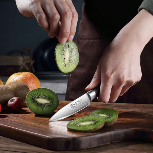 PAUDIN Paring Knife, 3.5 Inch High Carbon Stainless Steel, Ultra Sharp Small Kitchen Knife with Gift Box