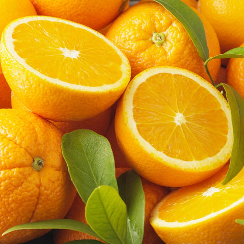 6 Planting-40 &10 40 40 &40 10 Types Mix Fruit Seeds for Lemon Cheery & Orange & Apple Passion Fruit & Blueberry Seeds