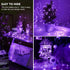 pozzolanas 24 Pack 3 7FT 20 (24, Purple Fairy Lights Battery Operated Modes LED Waterproof String Lights Twinkle Silver