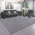 AROGAN Modern Shag Area Rug for Bedroom, 4x6 Feet Washable Plush Memory Foam Carpet for Kids Room Grey