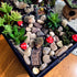 6 Pack CooBigo Resin Hedgehogs & Wood Mushroom Sculpture, Fairy Wild Garden Supplies, Figurines for Fairy Garden Wild