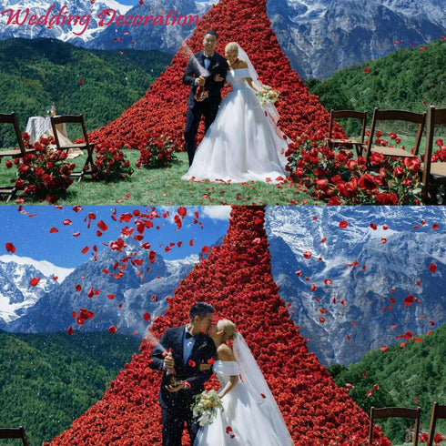 CODE FLORIST 2200 PCS Dark-Red Silk Rose Petals for Romantic Night, Wedding, Proposal Anniversary Decorations