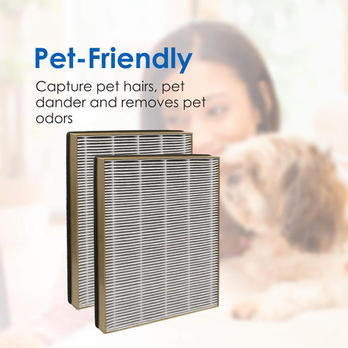 Flintar True HEPA Replacement Filter, Compatible with TaoTronics TT-AP002 and VAVA VA-EE008 Air Purifiers