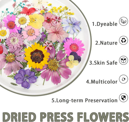 200Pcs Dried Pressed Flowers Resin Mould, Real Flowers & Natural Dry Leaves Kit for DIY Crafts