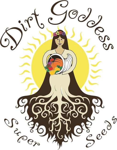 (1 LB) Dirt Goddess Super Seeds ~ Provider Bush Bean Seeds Bulk Non GMO