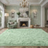 Fluffy Fuzzy Sage-Green Rugs for Bedroom - 4x6 Feet Soft Non Slip Plush Area Rug for Living Room and Kids Room