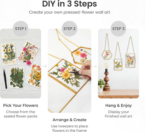 Relaxing Garden Pressed Flower Craft Kit for Adults & Women, DIY Floating Double Glass Frame Kit with Real Dried