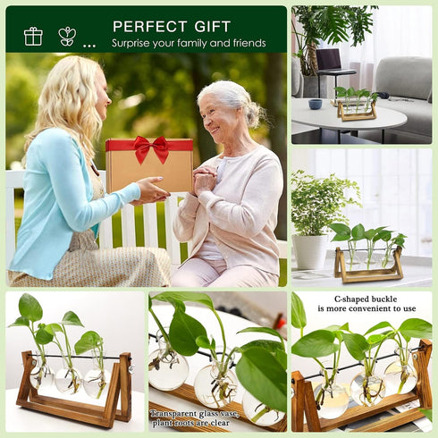 3 Bulb Kingbuy Desktop Glass Planter Iron and Wooden Stand Plant Terrariums for Indoor Office Desk Decor Accessories