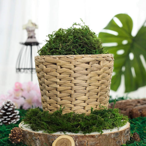 BYHER Artificial Moss, Fake Green Grass for Centerpieces, Home Kitchen Garden Decor (8OZ, Fresh)