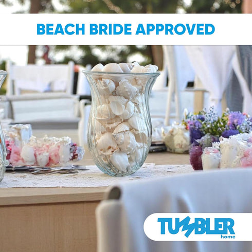 Tumbler Home Mix of White Seashells - Set Includes 1 Pound White Shells up to 3 inches for Home Decor and Crafts