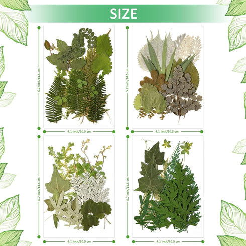 Timtin 84 Pieces Dried Pressed Leaves Flowers for Crafts, Mini Dried Flowers for Art DIY Handmade Bookmarks
