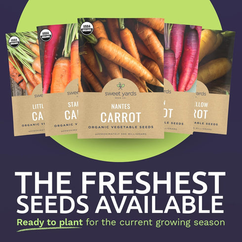 Pack 5 Packs 2026 Organic Carrot Seeds Variety - Individual - Season - Nantes, Little Finger, Dragon, Solar Yellow