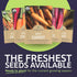 Pack 5 Packs 2026 Organic Carrot Seeds Variety - Individual - Season - Nantes, Little Finger, Dragon, Solar Yellow
