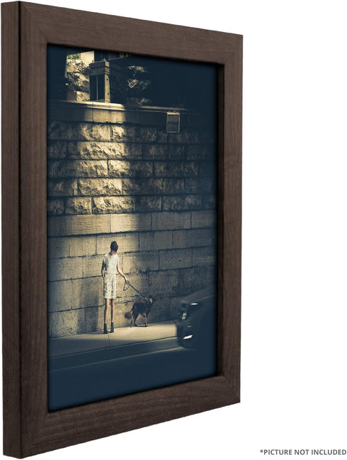 Craig Frames 232477781620N Picture/Poster Frame, 1-Inch Wide, Smooth Wood Grain Finish, 16 by 20-Inch, Brazilian Walnut
