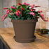 Bloem Terra Plant Saucer Tray for Planters, 3-6" Chocolate Brown