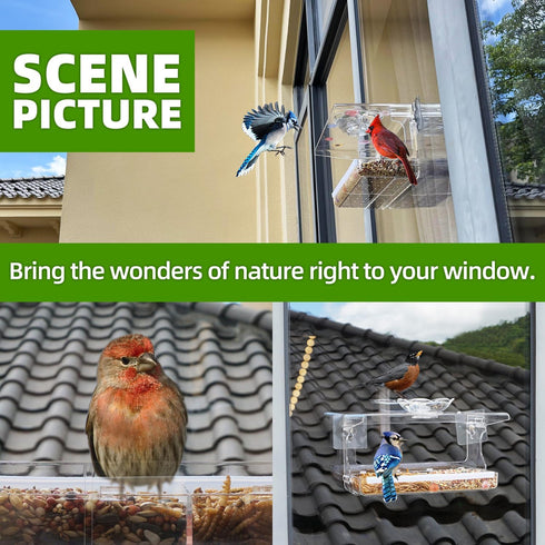 Window Bird Feeder with Non-Marking Self-Adhesive Hooks - Clear Transparent Bird House for Outside