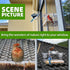 Window Bird Feeder with Non-Marking Self-Adhesive Hooks - Clear Transparent Bird House for Outside