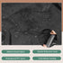 Mydracas Grill Cover fit Mini-Max & Mini Big Green Color Egg,Green Egg Accessories,Black Waterproof Full Grill Cover