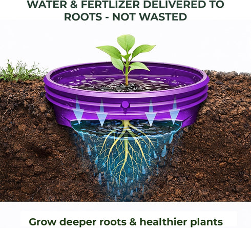7 inch 6 Pack Solid Planting Grow Rings | Purple | One-Piece Design for Deep Root Watering Veggies, Herbs & Flowers |