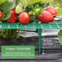 ANGTUO 10 Pack Square Strawberry Supports for Garden Strawberry Plant Support Strawberry Stand Holder Strawberry Racks