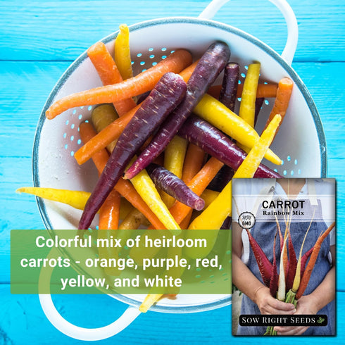 Packet (3) Sow Right Seeds - Rainbow Mix Carrot Seed for Planting - Non-GMO Heirloom with Instructions to Plant a Home