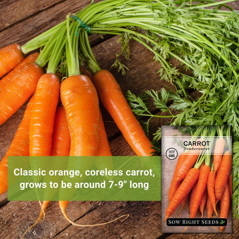 Packet (1) Sow Right Seeds - Tendersweet Carrot Seeds for Planting - Non-GMO Heirloom with Instructions to Plant & Grow
