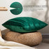 Top Finel Emerald Green Christmas Decorative Throw Pillow Covers, 20 X 20 Inch, Soft Velvet Cushion Case (Pack of 2)