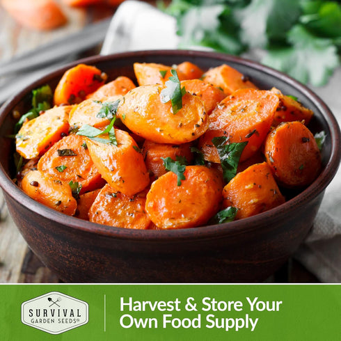 (2 Packs) Tendersweet Carrot Seeds for Planting Sweet, Smooth-Textured Heirloom Variety for Home Gardens Excellent