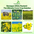 5 lb Outsidepride White Mustard Seeds for Planting - Annual Cover Crop Seeds w/Deep Root System, High Protein Forage