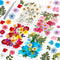 153 Pcs Dried Pressed Flowers for Crafts, Real Wildflowers and Dry Leaves with Tweezer for Jewelry, Candle, Soap Making