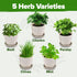 5 HOME GROWN Indoor Herb Garden Starter Kit Complete Herb Grow Kit with Basil, Cilantro, Mint, Parsley & Thyme