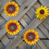 YEAHOME 9'' Sunflower Wall Decor, Set of 3 Metal Flower Art Decorations for Spring Yard Garden, Handmade Gift for Home
