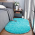 Noahas Ultra Soft Fluffy Bedroom Rugs - Kids Room Carpet Modern Shaggy Area Rugs 2.6' X 5.3', Teal Blue