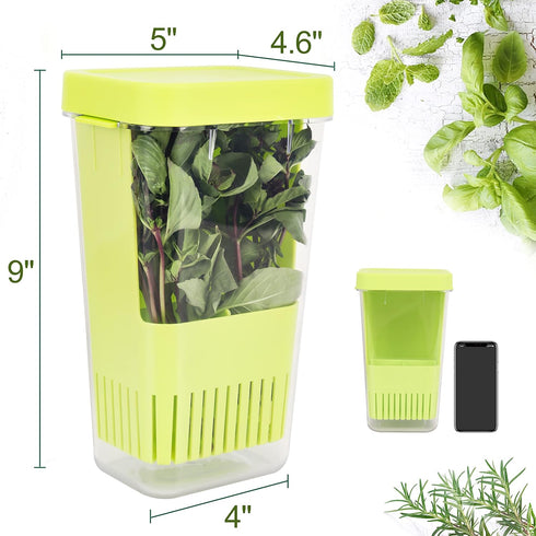 Herb Keeper, BPA-Free Plastic Herb Saver with an Inner Basket for Cilantro, Mint, Parsley, and Asparagus, Keeps Fresh Herbs for 3 Times Longer,1Pcs, Green