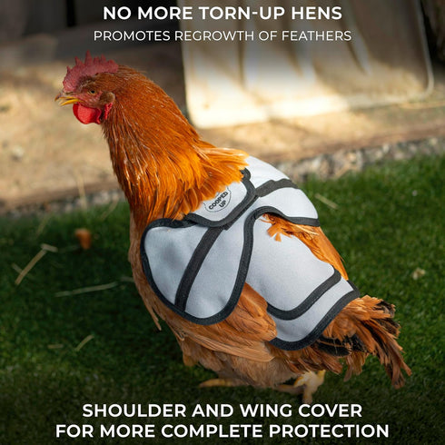 4 Pack COOPED UP Canvas Chicken Saddle for Medium-Large Hens with Larger Wing Cover and Adjustable Straps - Variety
